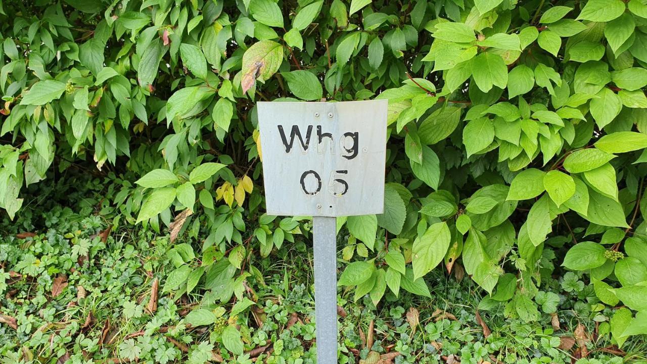 Ferienwohnung Fuer 5 Personen In Wasserburg ภายนอก รูปภาพ